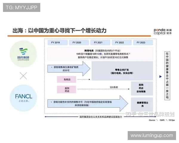 深入分析成都攀岩队的进攻策略与战术布局