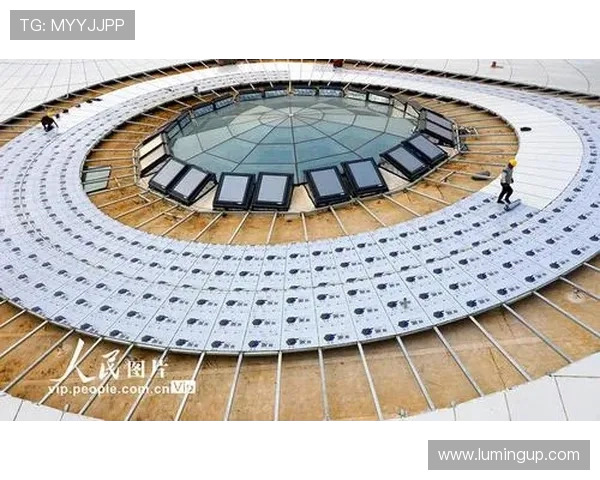 南京极限运动队如何通过运营革新提升竞技水平与团队凝聚力